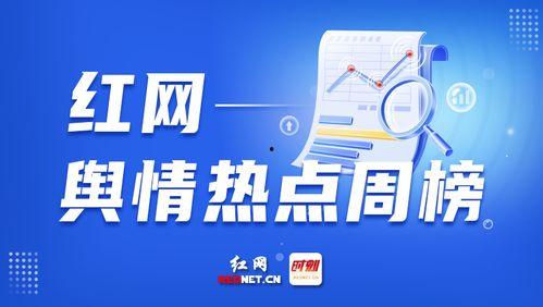 向新闻爆料,向爆料者致敬，探寻真相的力量  第3张