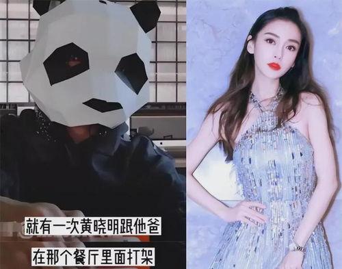 刘大锤爆料杨颖视频,揭秘明星幕后真相 第1张 刘大锤爆料杨颖视频,揭秘明星幕后真相 第1张