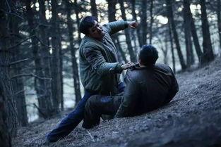 国配电影在线观看,在线观看,畅享视听盛宴 第1张 国配电影在线观看,在线观看,畅享视听盛宴 第1张