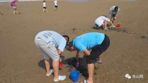 户外赶海爆料视频,揭秘海滩宝藏的户外探险之旅 第3张 户外赶海爆料视频,揭秘海滩宝藏的户外探险之旅 第3张